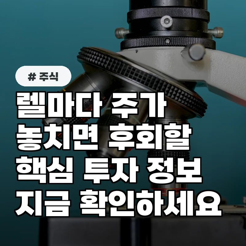 렐마다 주가, 투자자들이 반드시 알아야 할 핵심 정보