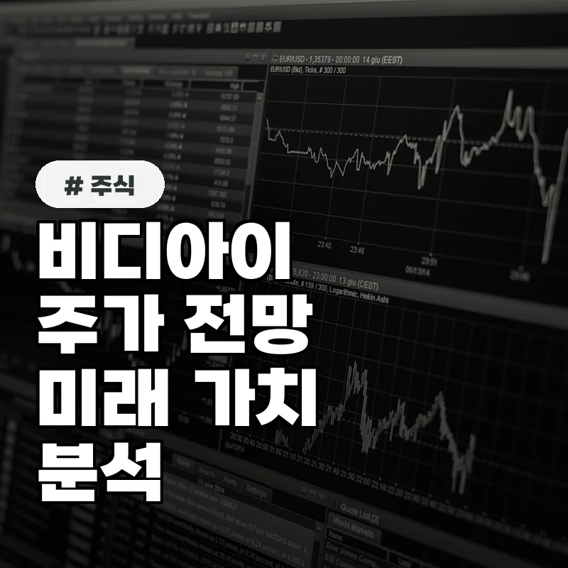 비디아이 주가, 현재 투자 가치와 미래 성장성은?