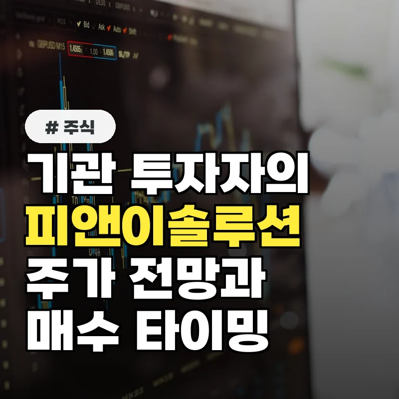 기관 투자자가 말하는 피앤이솔루션 주가 전망과 매수 타이밍