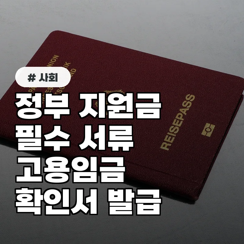 정부 지원금 신청 시 꼭 필요한 고용임금확인서, 이것만 알면 끝