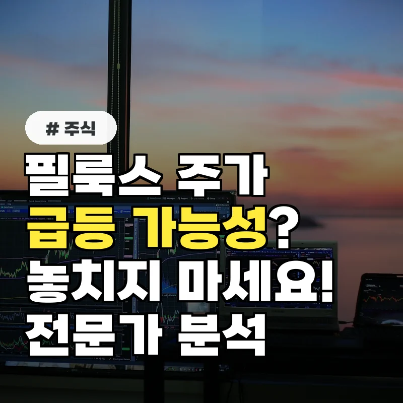 필룩스 주가, ‘이 이슈’로 급등 가능성? 전문가 분석