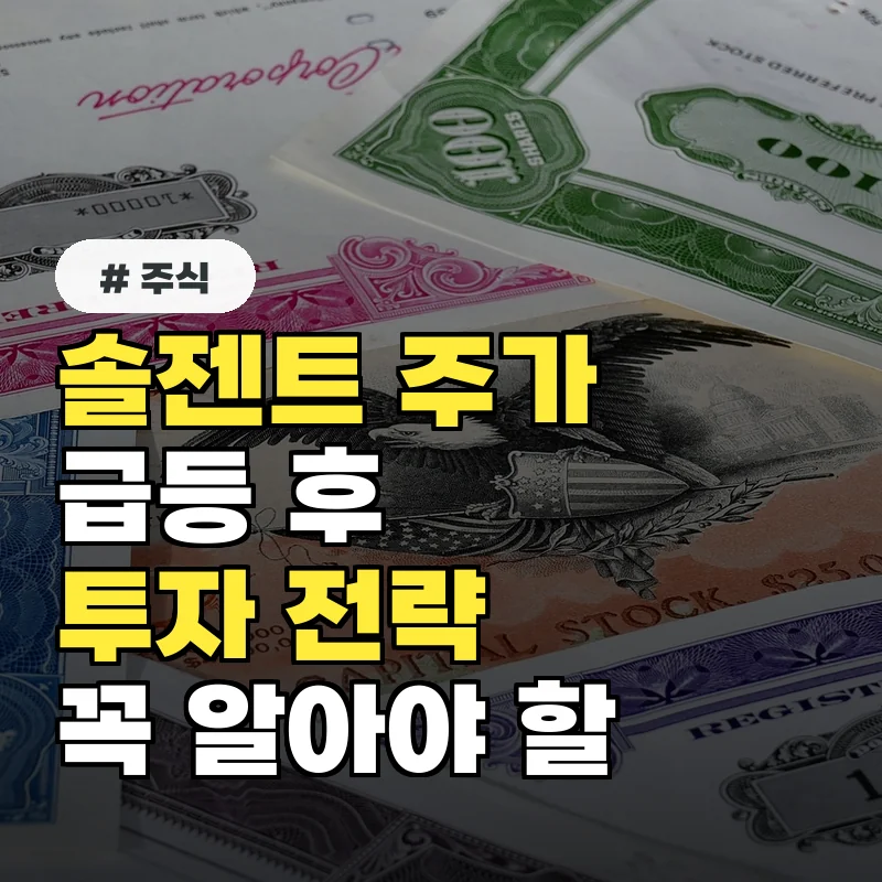 솔젠트, 주가 급등 후 꼭 알아야 할 투자 핵심 전략