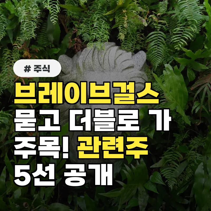 브레이브걸스 팬 주목! '묻고 더블로 가' 관련주 5선