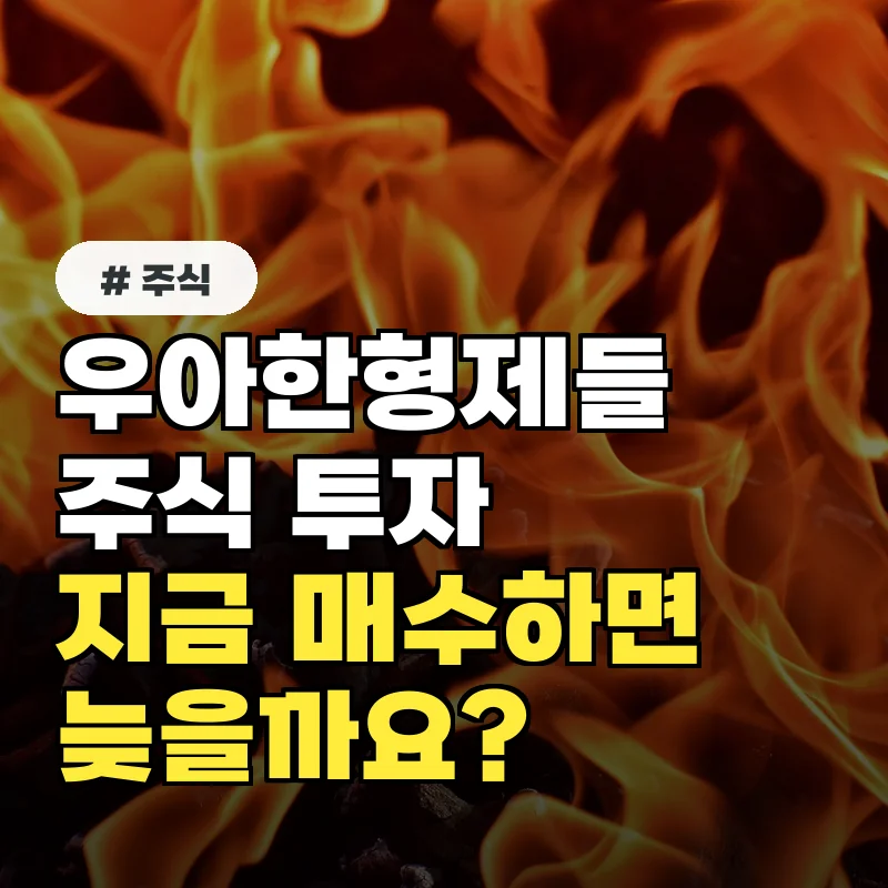 우아한형제들 주식, 지금 매수하면 늦을까? 투자 전 필독 사항