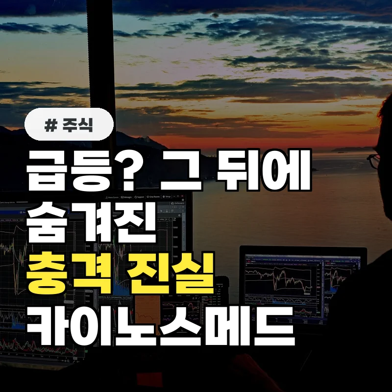 급등하는 카이노스메드 주가, 투자 전 반드시 알아야 할 3가지