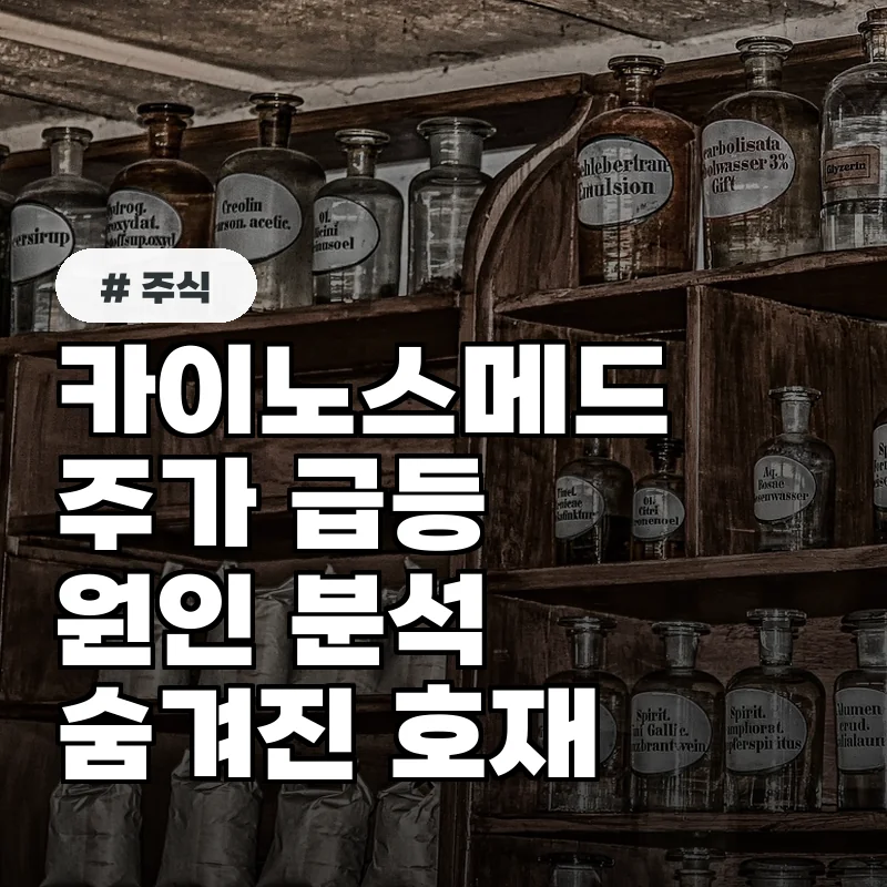 카이노스메드 주가 급등 원인 분석, 숨겨진 호재는?