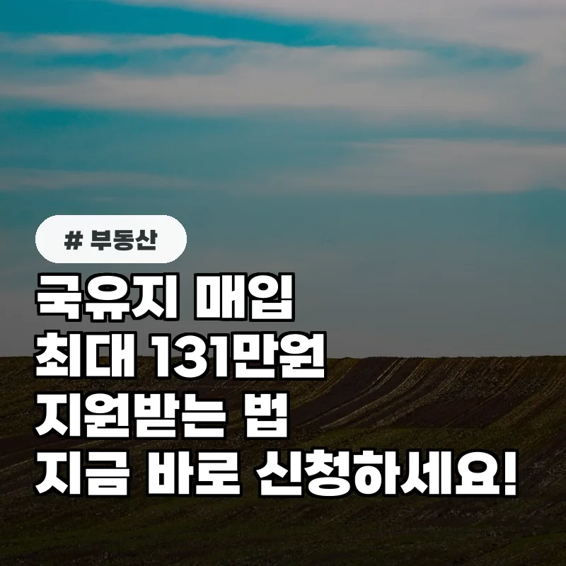 당장 신청하세요! 국유지 매입 131만 원까지 지원받는 법