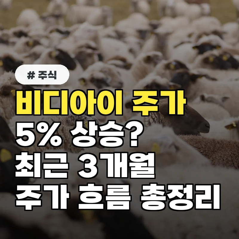 비디아이 주가 5% 상승, 최근 3개월 주가 흐름 총정리