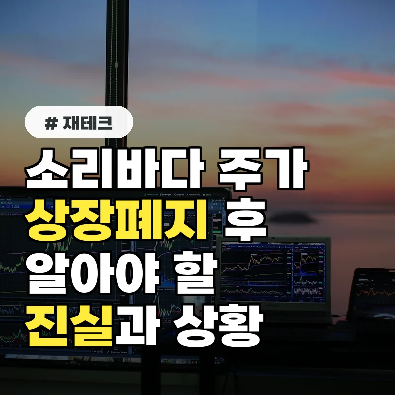 소리바다주가, 2025년까지 3배 오를 수 있는 숨겨진 기회
