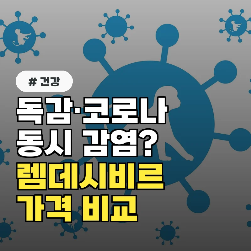 독감·코로나 동시에? 렘데시비르주가 비교 분석 완벽 정리