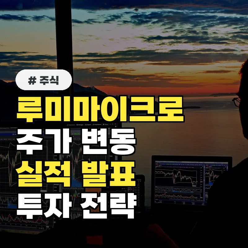 루미마이크로 주가, 실적 발표 후 투자자가 꼭 알아야 할 5가지