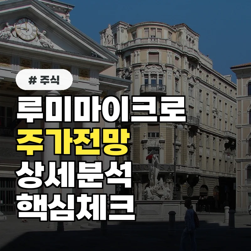 루미마이크로 주가, 목표 주가 및 향후 전망 상세 분석