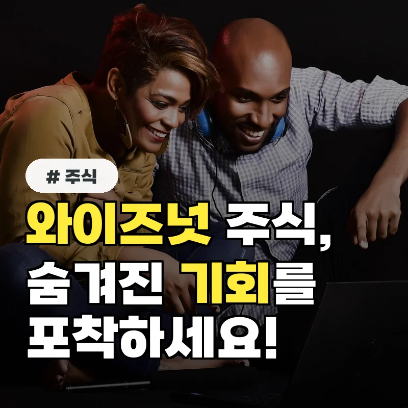 개인 투자자가 놓치고 있는 와이즈넛 주식의 숨겨진 기회