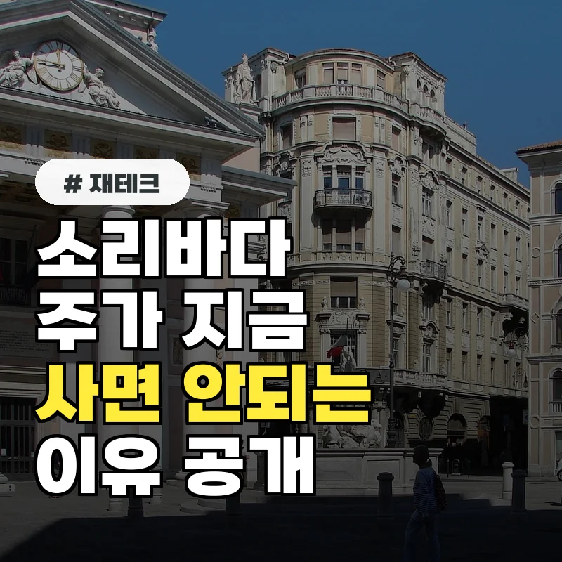 소리바다주가, 지금 사면 5년 뒤 10배 수익? 투자 가이드