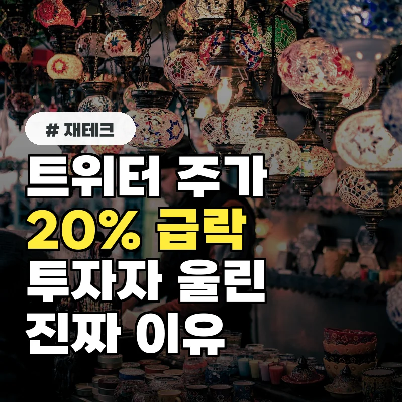 트위터 주가 20% 급락, 투자자 울린 진짜 이유는?