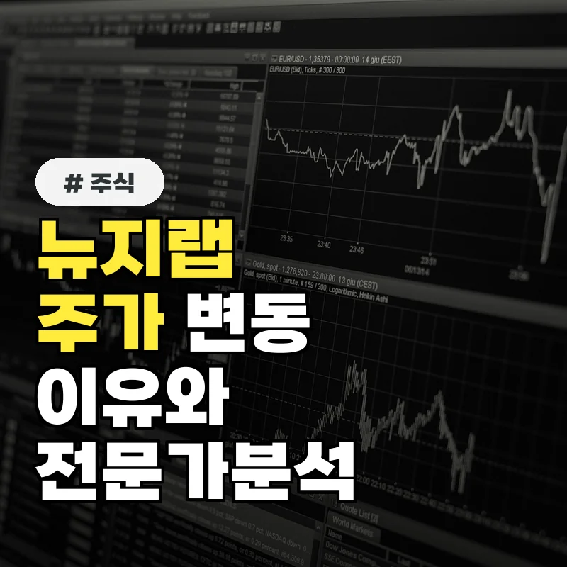 뉴지랩 주가, 3일 연속 상승한 이유는? 전문가 분석!