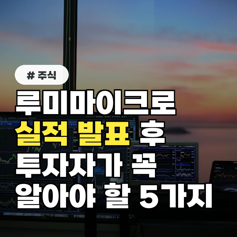 루미마이크로 주가, 실적 발표 후 투자자가 꼭 알아야 할 5가지
