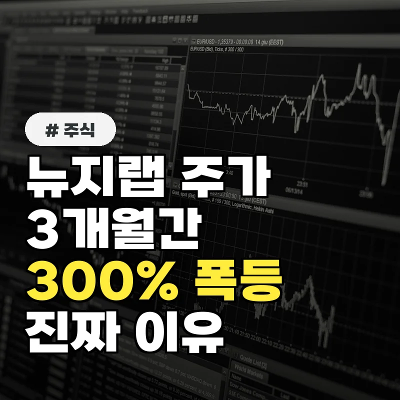 뉴지랩 주가, 3개월간 300% 급등! 투자자 몰리는 이유