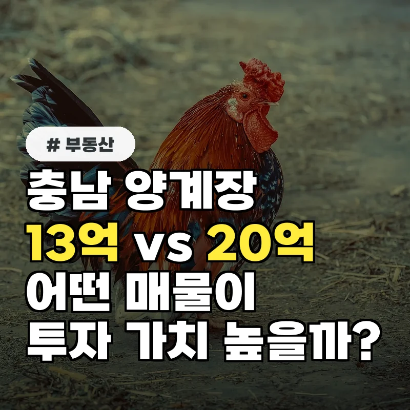 충남 양계장 매매 13억 vs 20억, 어떤 매물이 투자 가치가 높을까?