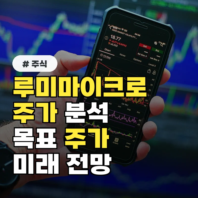 루미마이크로 주가, 목표 주가 및 향후 전망 상세 분석