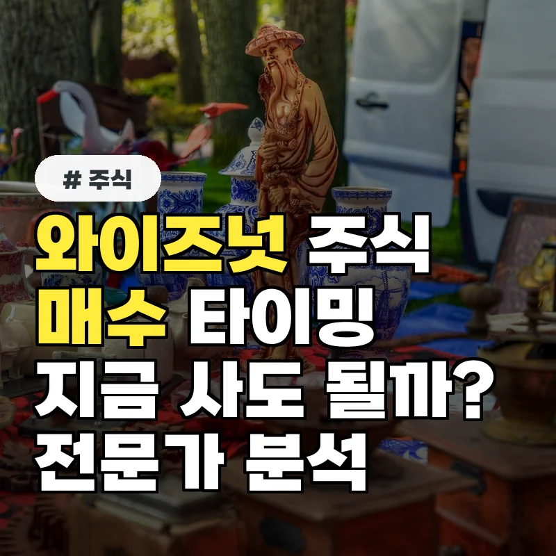 와이즈넛 종목 진단: 지금 매수해야 할 때일까? 전문가 의견