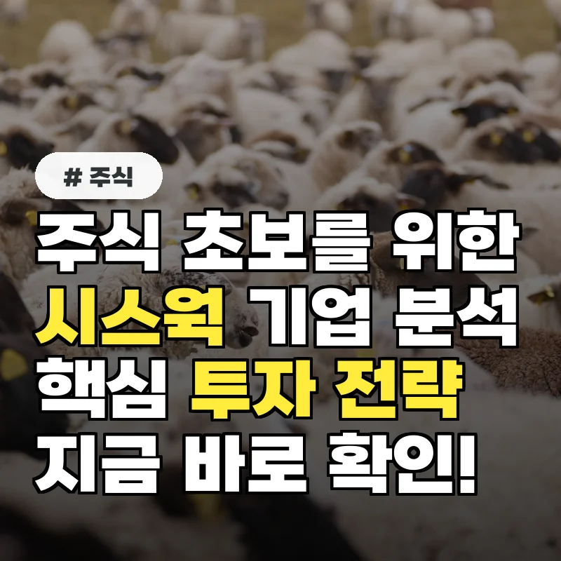 주식 초보를 위한 시스웍 기업 분석과 투자 전략